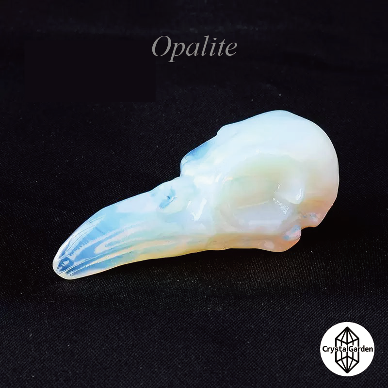 Mix Material Crow Skull Carving - Image 6