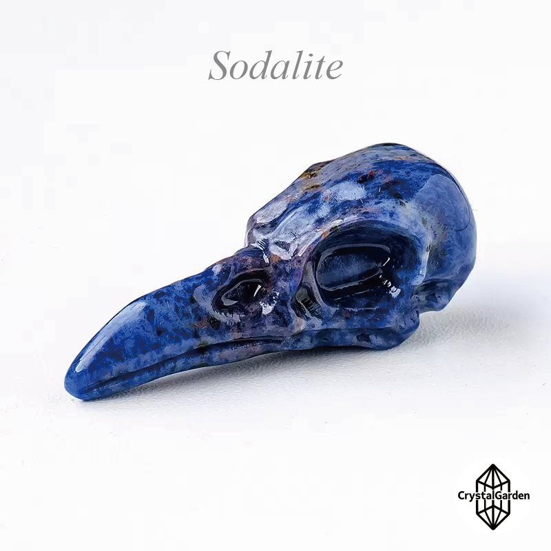 Mix Material Crow Skull Carving - Image 10